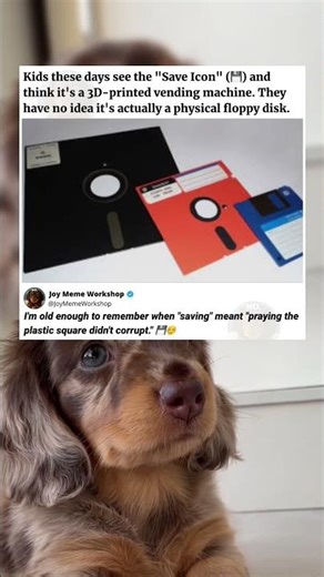 Kids Don't Know What The Save Icon Actually Is 💾👴 #funny #memes #pets