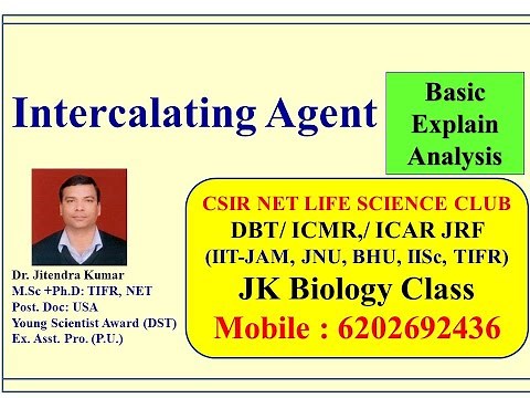 Intercalating Agent: DNA, Basic Analysis & Function: Explain by Dr. Jitendra Kumar