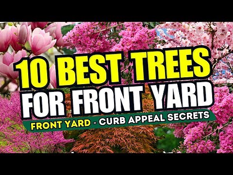 🌳😍 Top 10 BEST Trees for ANY Front Yard Garden Style - CURB APPEAL SECRETS 🚀🌲