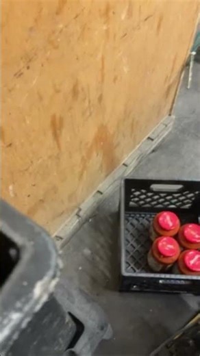 Fantom fury marketplace find $10