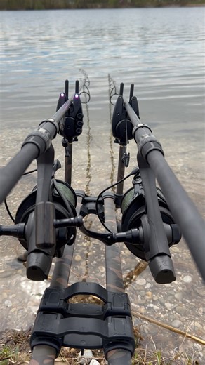 94K views · 1K reactions | Ein typischer Big Carp Run oder was meinst du? | Fox International | Facebook