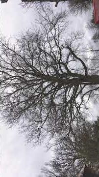 Le code des émotions #RTRE