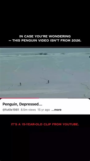 @bunnycreatees on Instagram: "On the frozen coast of Antarctica, a lone penguin moves inland. There is no urgency in its pace and no visible reaction to the terrain ahead. The ice stretches endlessly, broken only by a distant rise — a mountain formed over thousands of years by pressure, snowfall, and time. The penguin does not pause to assess scale. It does not look back. In reality, this behavior is ordinary. Penguins regularly travel long distances away from the sea to reach nesting grounds or