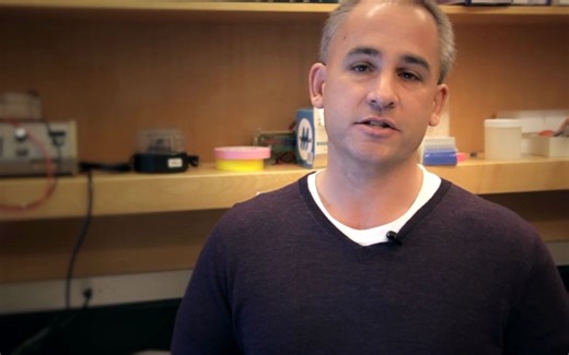 NEB 限制性内切酶双酶切步骤