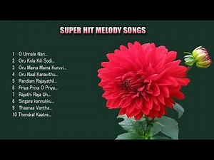 Super Hit Melody Songs Vol 1 | Audio Jukebox