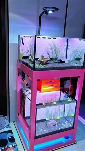 #Aquarium#FishTank #DoubleLayerAquarium #SquareTank #IndustrialDesign#Aquascape#zetlight #ufo #f8max