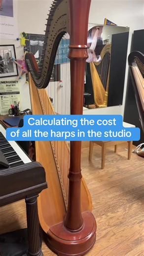 Understanding Harp Costs and Their Value
