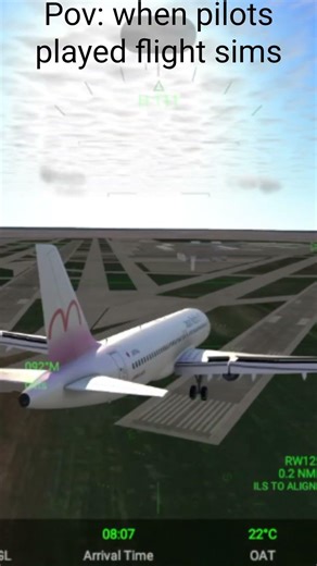 pov: when pilots played flight sims