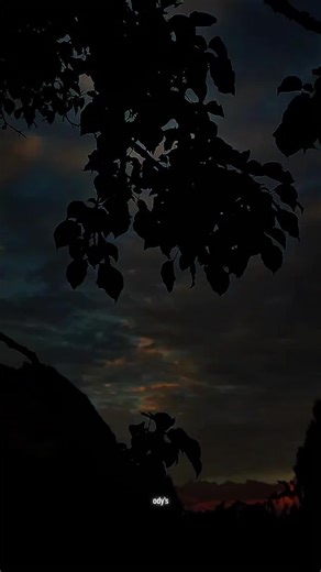 O Si Karamele - Kënga më e Bukur e Odysse