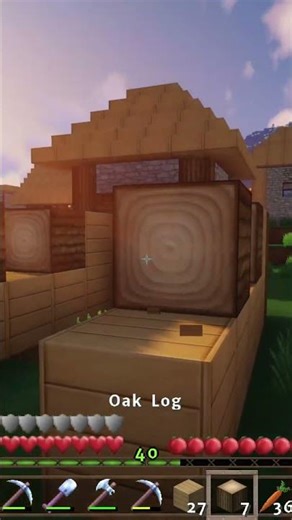 Das Standard Villiger Haus - LP MC #409