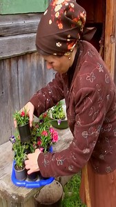 Homemade fresh organic cheese from animal milks.🥛🧈🍃🌾 | Country Food