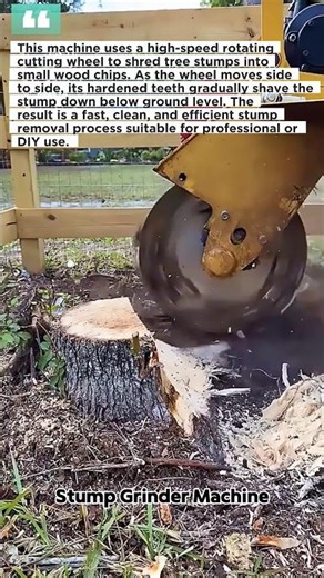 Extreme Stump Grinding Power! Watch This Machine Destroy Tree Roots Fast! #stumpgrinder #tools #DIY