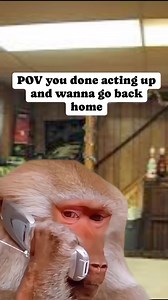 Babe? Pick up… 🥹 | Deadly Uncle Vibes