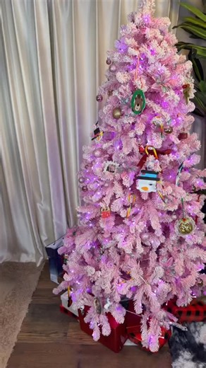 Alexis Amor on Instagram: "Uniform for the week🎅🏻"