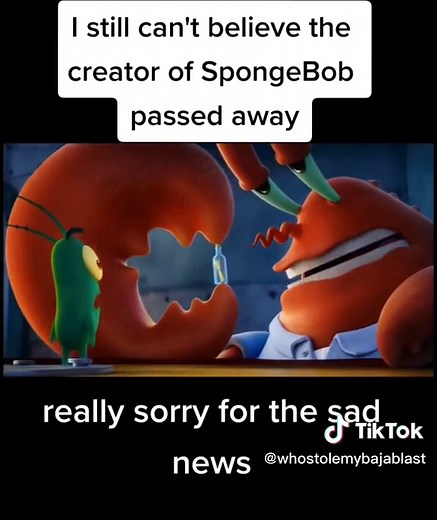 Who Stole My Baja Blast on TikTok