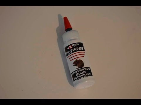 Mice Attractant v. Peanut Butter: Baiting Your Trap