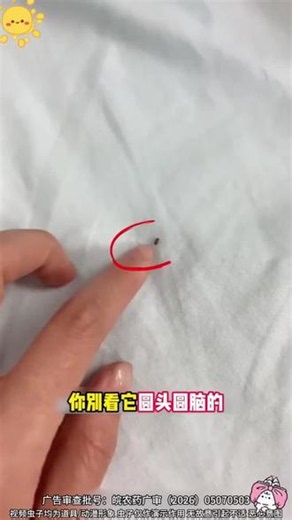 卫生间、厨房出现蛾蚋小飞虫这种烦人的虫子，不用慌！视频看完轻松解决# 小飞虫 # 蛾蚋 # 蛾蠓 # 小飞虫如何消灭