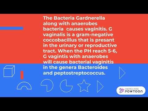 5 Fun Tips