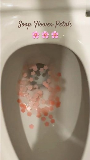❌ EPIC FAIL 🚽 WaterRidge Toilet Flush feat. Soap Flower 🌸 Petals 🌸