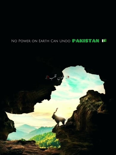 Unity in Diversity: Embracing Our Pakistani Identity