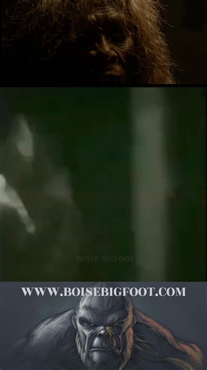 252K views · 4K reactions | Here’s a flashback classic. Here’s a closer look at the Mt. Hood Encounter where three campers came face-to-face with a Sasquatch. It’s a startling situation for anyone to find themselves in. What would you do if you stumbled upon this while camping in the woods? Bigfooting minds want to know. | Boise Bigfoot | Facebook