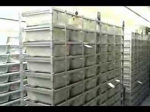 Ball Python Breeding footage - 01/26/08 part 1