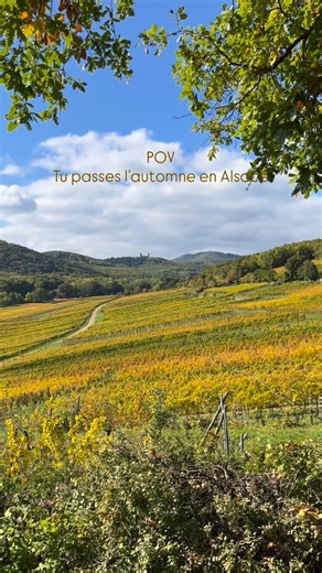 2.7K views · 519 reactions | Quand les couleurs d’automne subliment la Route des Vins d’Alsace… ✨ Entre vignes dorées et villages fleuris, la saison s’annonce magique. #visitalsace #routedesvinsdalsace #automnealsace #autumnvibes | Visit Alsace | Facebook