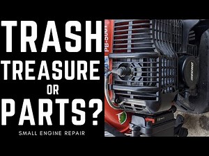 Echo PB-500T Stuck Piston and Carb Clean