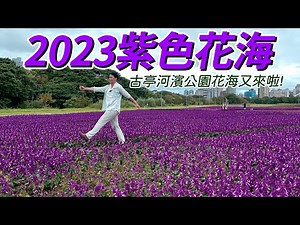 【阿得帶你去】2023古亭河濱公園，浪漫紫色花海又來啦!白天黑夜兩種玩法!