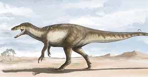 200-million-year-old dinosaur tracks found