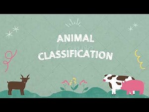 Animal Classification