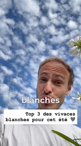 21K views · 4.8K reactions | 懶 Top 3 des fleurs blanches pour un...