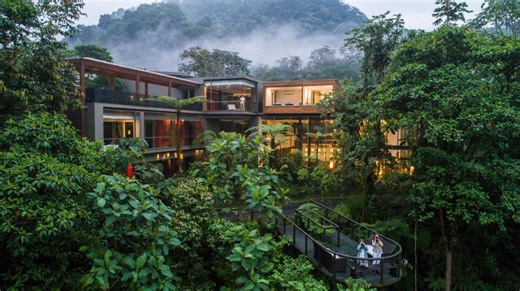 Head in the cloud forest: Exploring wild Ecuador at Mashpi Lodge