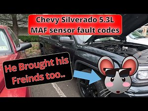 2017 Chevy Silverado 5.3L | p0102, p0097. p00c7, p00f4, p0113, p2227 & p2228. No MAF signal.