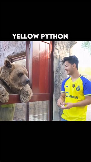 Ayush Bhandari | Yellow phython💀 | Instagram