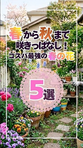 【今植えて！】春から秋まで咲きっぱなしの最強花5選🌸 #ガーデニング #春の花 #園芸 #ホームセンター