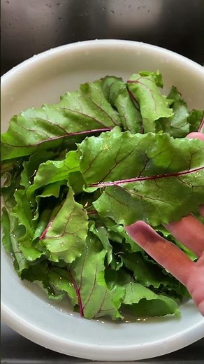 “How To” Prepare Fresh Beet Greens