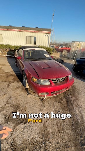 145K views · 1.7K reactions | True or False: the terminator Cobra is the best Mustang ever made #ford #mustang #mustanggt #mustangfanclub #mustangweek #stang #stanggang #stanglife #fordracing #stangnation #cobra #terminatorcobra #fordgram #leecparts #scraplifegarage #carsofinstagram #cargram #carsofig | Lee Carter | Facebook