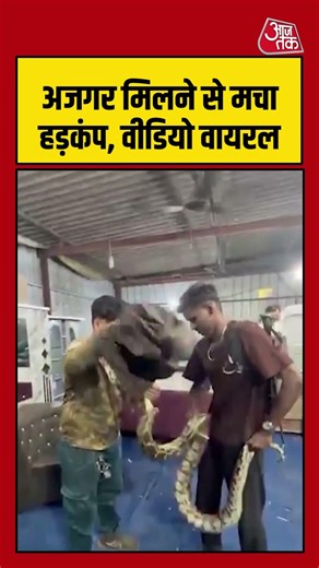 अजगर मिलने से मचा हड़कंप, वीडियो वायरल #python #kalyan #maharashtra #viralvideo #aajtak