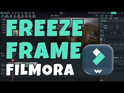 How to Freeze Frame in Filmora