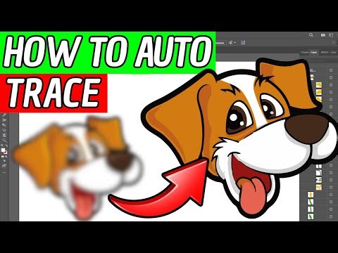 How To Auto Trace In Illustrator 2026 (Fast And Easy)
