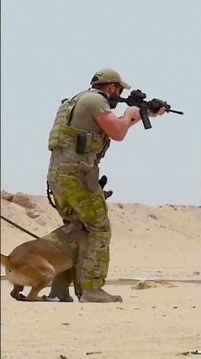 How Military Dogs Are Trained for War!
