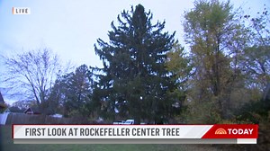 Get a first look at the 2022 Rockefeller Center Christmas tree