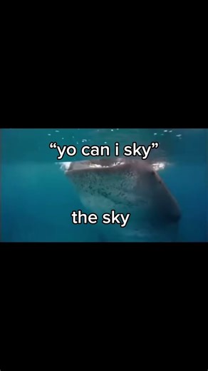 they be taking the biggest gulp #funny #relatable #fyp