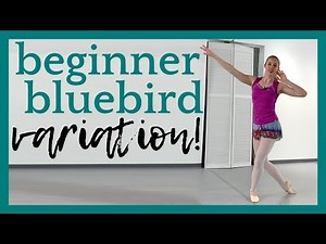 Beginner Bluebird Variation! | Broche Ballet