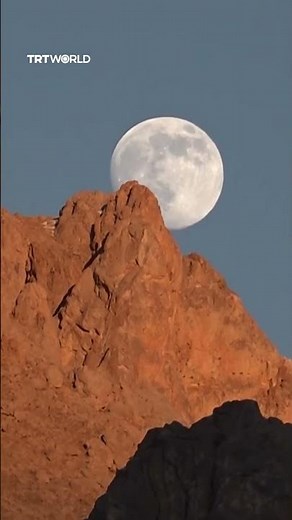 Wild goats appears in the moonlight in Türkiye's Van