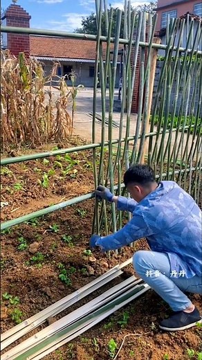 Simple & Sturdy DIY Garden Trellis with Steel-Core Bamboo Stakes