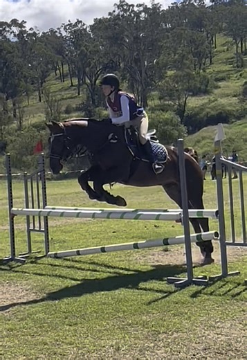 Learning from Equestrian Competition Experiences