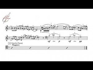 Orchestral excerpts for cello. R. Strauss. Don Quixote. Don Quixote Theme