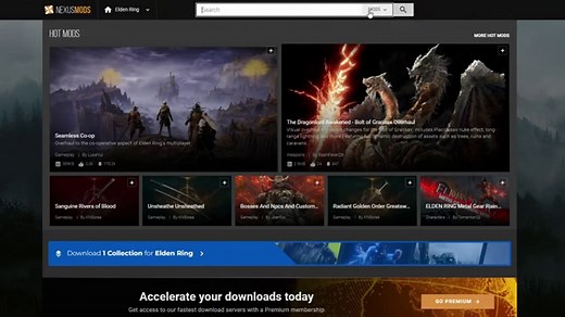 How to EASILY Install Seamless Co-Op Mod for Elden Ring